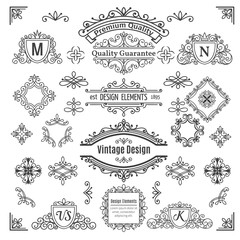 Set of vintage  vector line elements 