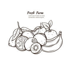 Hand Drawn tropic  fruits.