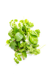 Heilkarft der Küchenkräuter