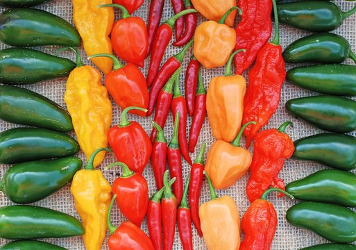 Colorful display of different types of hot peppers