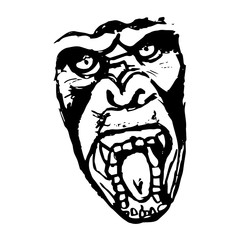 A dangerous monkey with open mouth 0