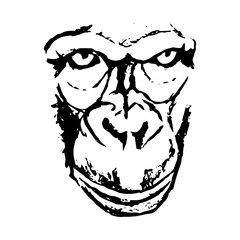 View gorilla abstraction