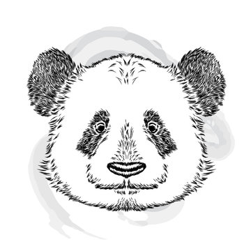 Cute Panda. Vector illustration.