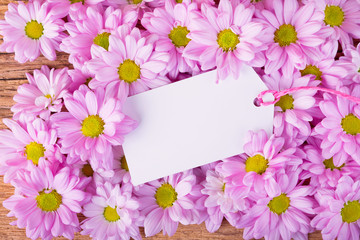 Hintergrund mit rosa Blüten und Textfreiraum