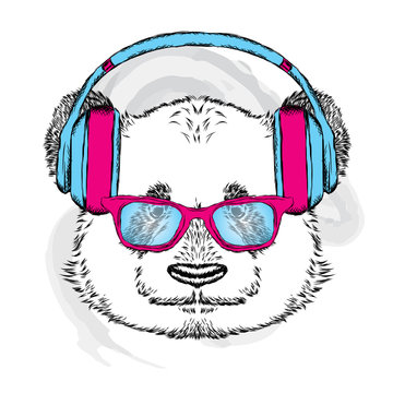 Funny panda headphones. Vector illustration.