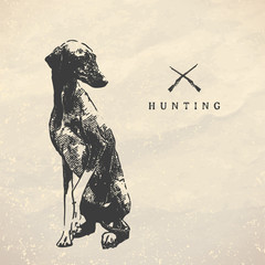 Hunting dog. Vintage illustration.