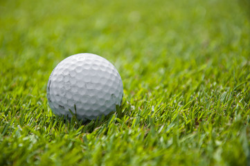 detail of golf ball on grass