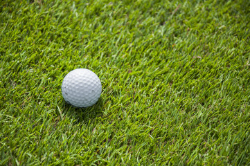 detail of golf ball on grass