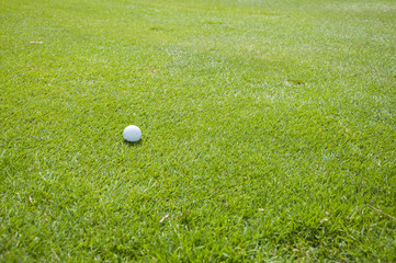 detail of golf ball on grass
