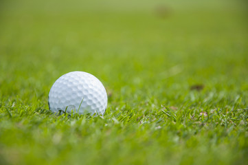 detail of golf ball on grass