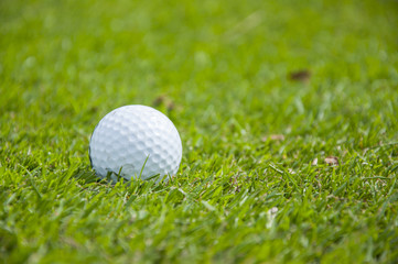 detail of golf ball on grass