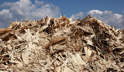 Huge pile of wood waste for recycling