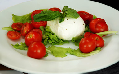 Fresh tomatoes and cheese salad with mozzarella