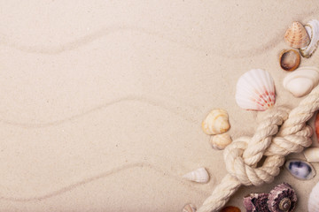 Sea shells and rope on sand with space for text
