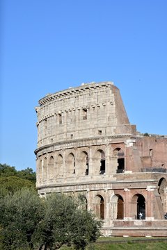 Roman Colosseum 