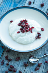 Plate with fresh yogurt on wooden table