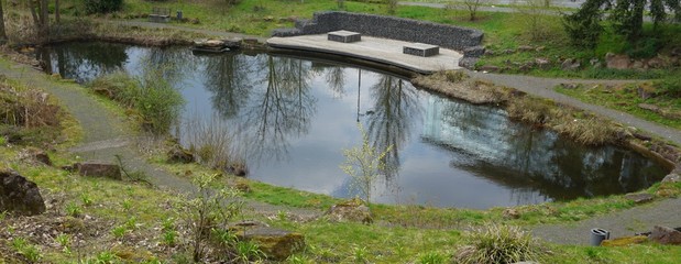 Spiegelungen im Teich