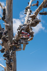 The famous tamarisk "shoe tree" near Amboy on Route 66 