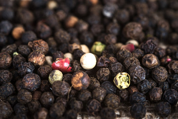 Wooden scoop with dried pepper berries