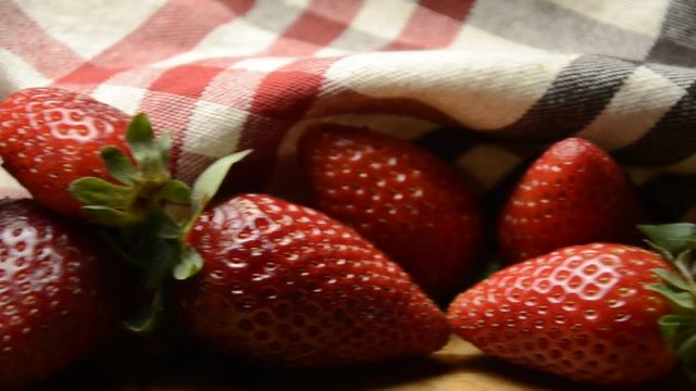 Luleshtrydhja Merello Fraga Fragaria Jahoda Jordb&aelig;r Morango Fragole Fraise Magiostra Maoeula Мӧр Frambosa Frago Fraga Fragola