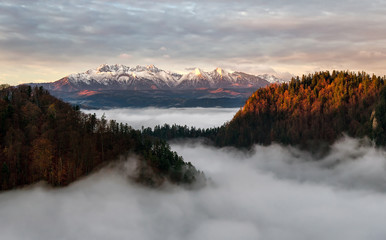 Tatra mountains from Pieniny at foggy sunrise, Poland