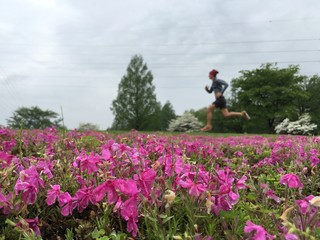 Man running in parkland behind flowerbed