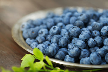 Fresh ripe blueberries outdoors on a wooden background