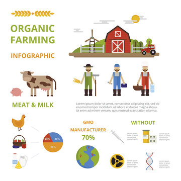 Agriculture farming organic food infographic elements concept vector.
