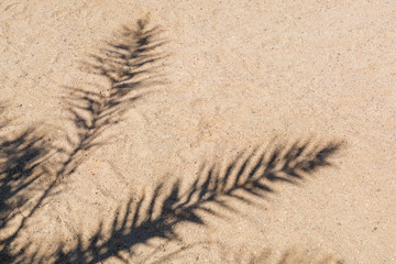 Fototapeta na wymiar Palm trees cast shadows on the smooth golden sand of a remote tropical island beach
