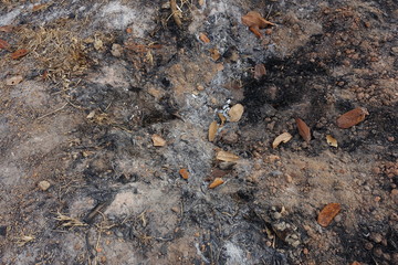 Extinguish burned firewood and trash.