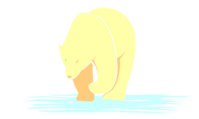 Polar Bear Vector