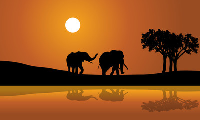 Fototapeta na wymiar African Elephants at Sunset africana