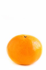 Mandarin Orange on White Background