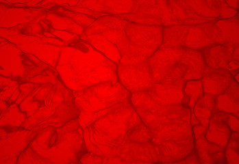 Dark red abstract splash for background .