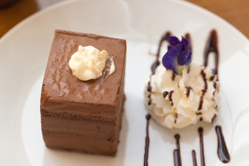 Chocolate cake on the white plate. (Selected focus)