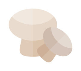 Fresh champignon mushrooms vegetable vegetarian tasty fungus eating food vector.