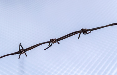 Barbed Wire Lines against a Blue Sky