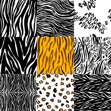 Set of abstract hand drawn animal skin background. Seamless background. Vector.