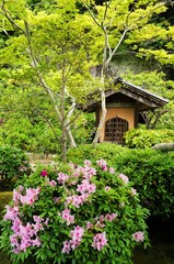 つつじ咲く日本の庭