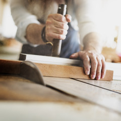 Craftsman Profession Occupation Pursuit Skilled Concept