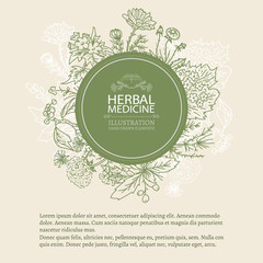 Herbal medicine hand drawn elements vintage tempate sketch