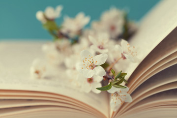 Cherry blossoms and old book on turquoise background, beautiful spring flower, vintage card, selective focus