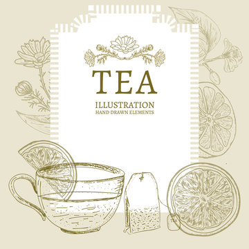 Tea hand drawn elements vintage tea sketch vector