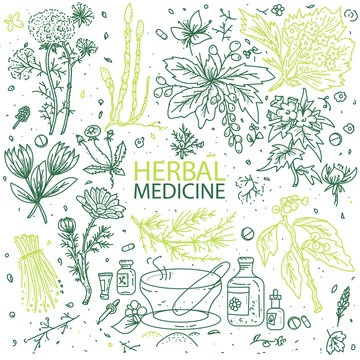 Alternative medicine herbs doodle hand drawn elements sketch