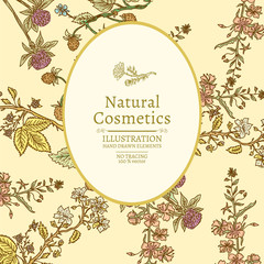 Vector vintage banner with wild flowers and herbs