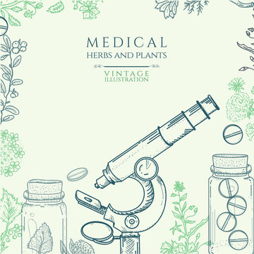 Herbal medicine hand drawn vector illustration