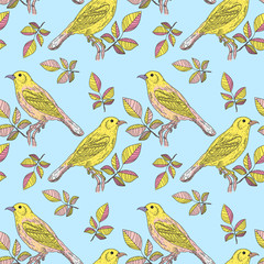 Yellow bird on a blue background vector seamless pattern