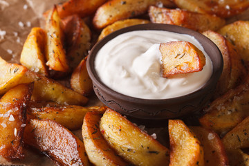 potato wedges and mayonnaise macro on the table. horizontal
