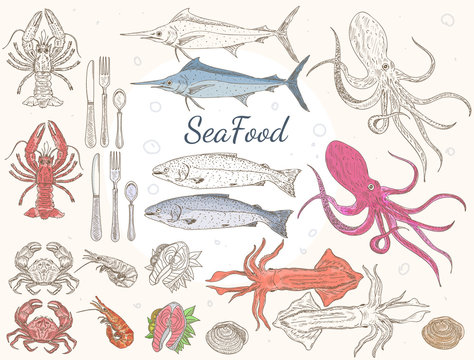 Seafood Collection