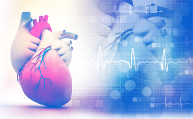 Human heart with ecg graph on white background.